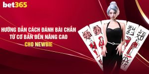Cách Chơi Bài Chắn - Top 3 Mẹo Cược Hiệu Quả Cho Newbie