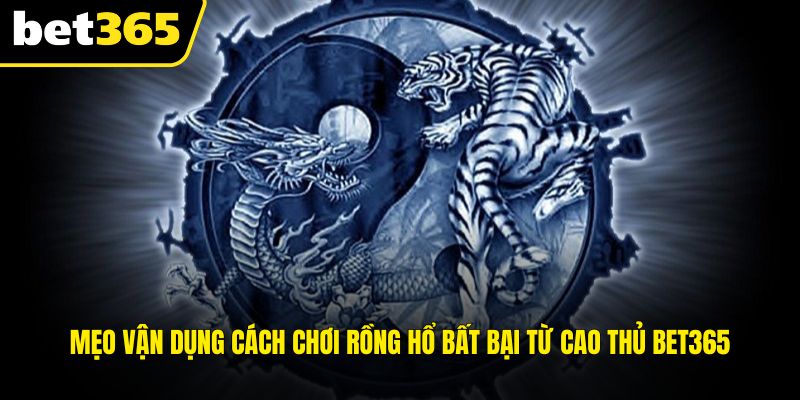 Mẹo vận dụng cách chơi Rồng Hổ bất bại từ cao thủ BET365
