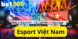 Esport Việt Nam: Sự Phát Triển Mạnh Mẽ và Tương Lai Hứa Hẹn