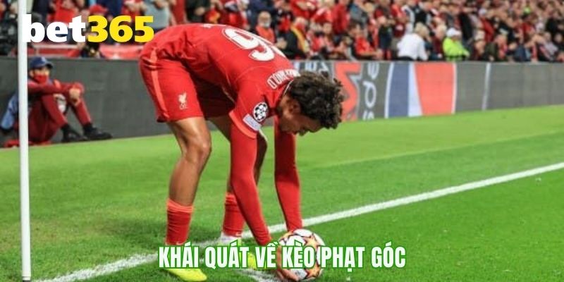 Những điều thú vị về kèo phạt góc ít người biết