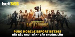PUBG Mobile Esport: Đặt Kèo Như Thần, Săn Thưởng Lớn
